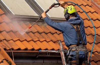 Démoussage et hydrofuge de toiture à Marignieu